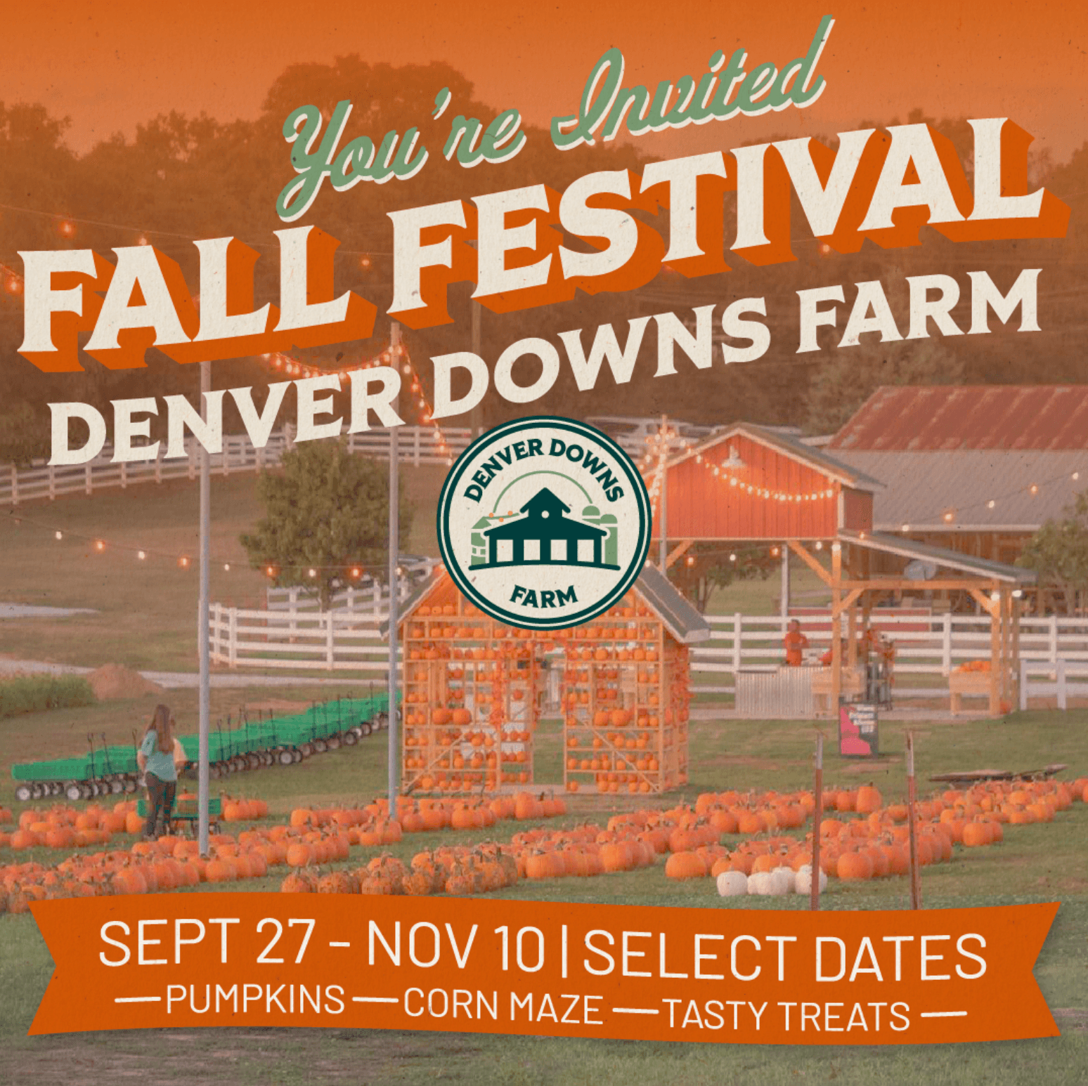 Denver Downs